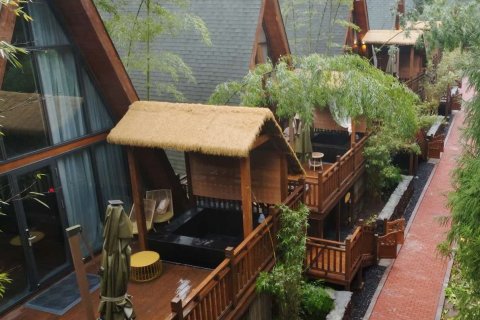 雅安荥经水墨花溪温泉谷民宿