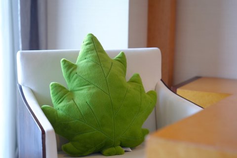 绿城千岛湖喜来登度假酒店