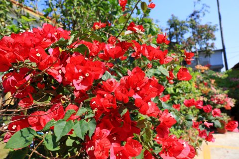 德宏德安酒店(芒市广场店)