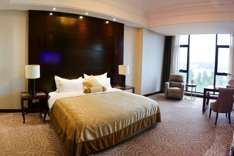 三门峡天鹅湖国际大酒店(天鹅湖湿地公园店)