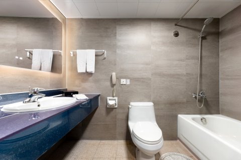 天津泰达中心酒店