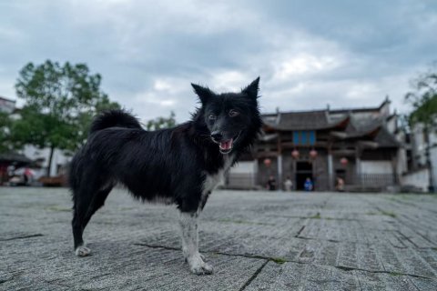 黟县南屏半榻山房