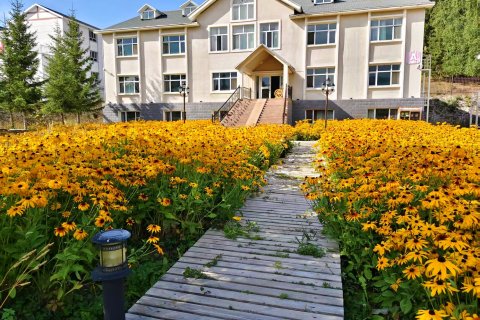 喀纳斯四季休闲酒店