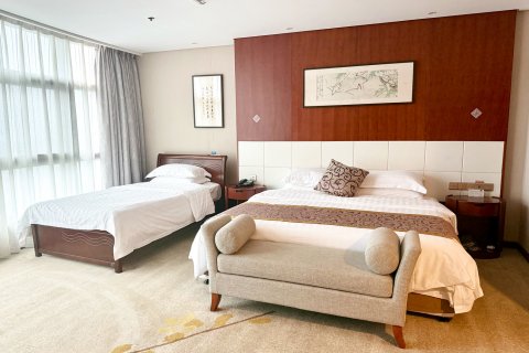 南京机场宾馆(夫子庙龙蟠中路店)