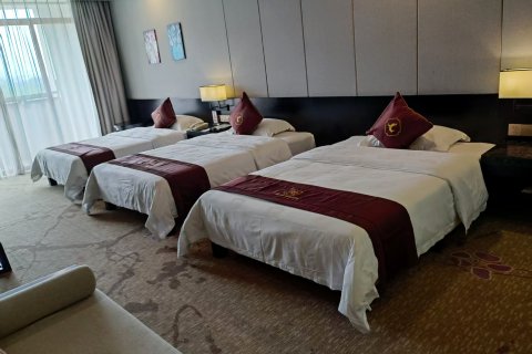 天成国际大酒店(百色田东湿地公园店)