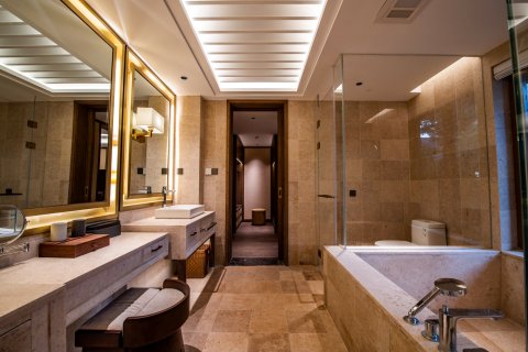 宁国恩龙世界木屋村