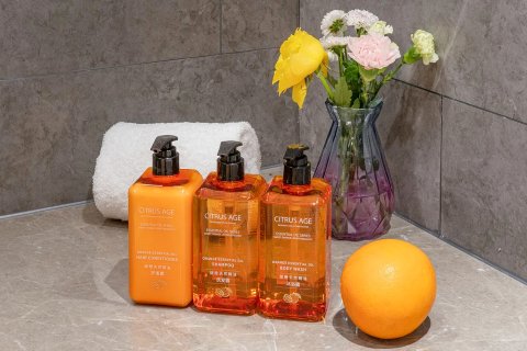 桔子酒店(北京西站店)