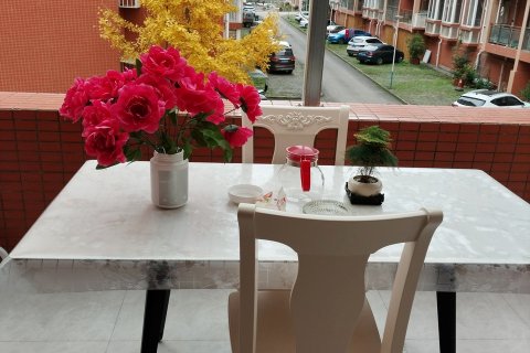 秋月龙苍沟店民宿(鸽子花大道分店)