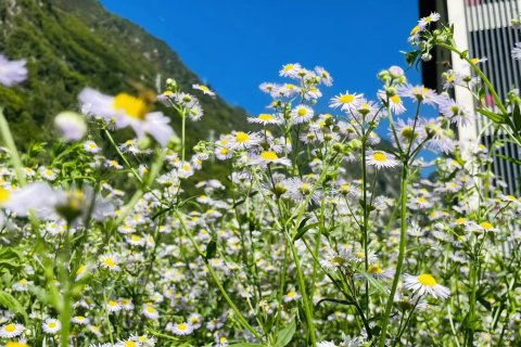 理县晓月晴岚酒店