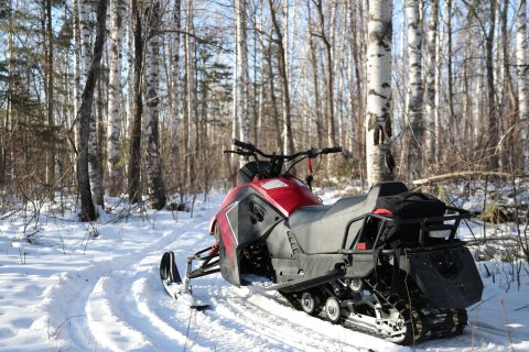 望松青年旅舍(二道白河镇长白山高铁站店)