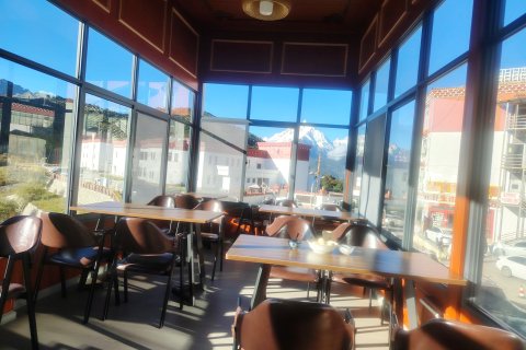 德钦飞来寺扎西德从民宿