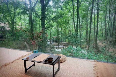 武汉樾和林泉民宿