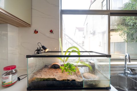 南京怡家商务酒店(禄口国际机场店)