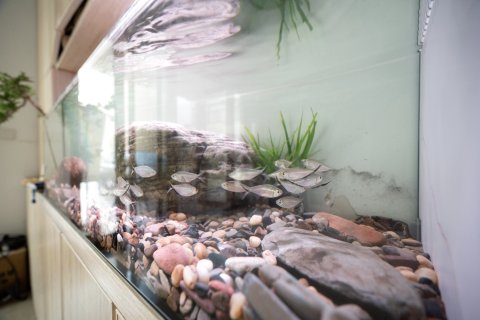 南京怡家商务酒店(禄口国际机场店)