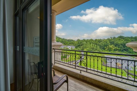 横店影视城·龙景雷迪森庄园酒店