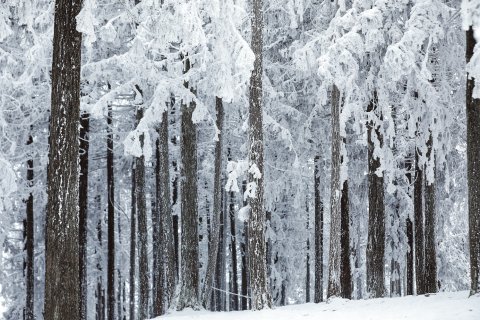 仙女山华邦酒店
