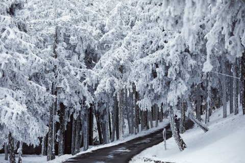 仙女山华邦酒店