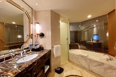 拉萨圣地天堂洲际大饭店