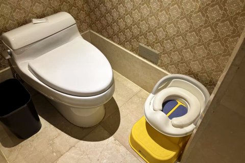 拉萨圣地天堂洲际大饭店