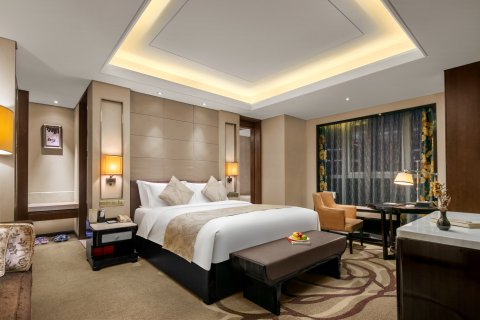 遂宁东旭阳光国际大酒店