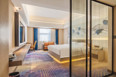 化州星河国际假日酒店