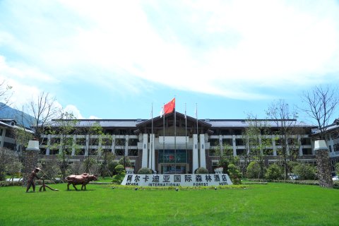 神农架阿尔卡迪亚森林酒店