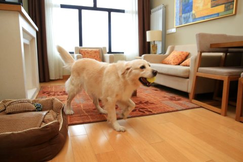 长白山万达锦华套房酒店