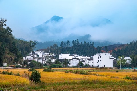 在荷间·婺源墅家百年故里西冲院