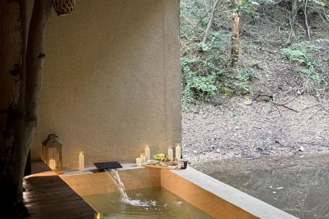 武汉樾和林泉民宿