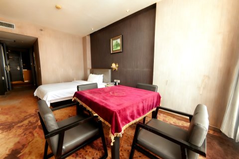 南乐维拉尼卡国际酒店