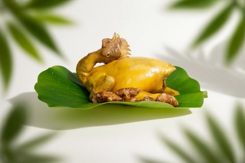 三亚蜈支洲岛珊瑚酒店