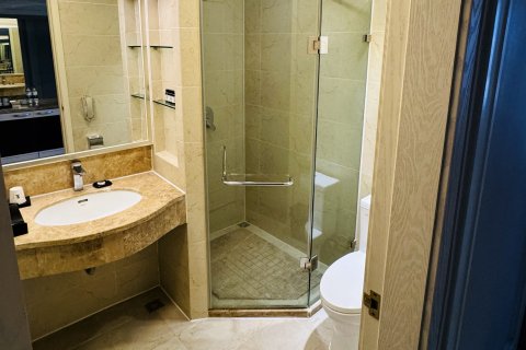 乌鲁木齐南山庄园