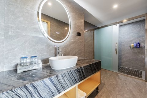 拉萨岷山航空酒店(布达拉宫店)