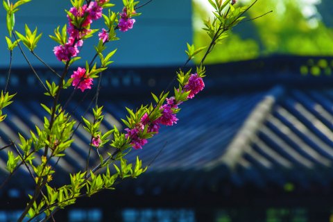 杭州西湖国宾馆·西湖第一名园