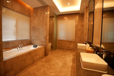 广悦尚·蟠龙谷