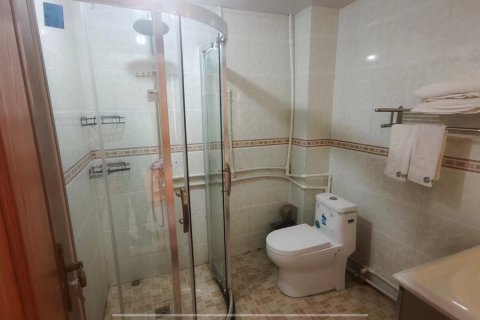 定日成都庄园大酒店