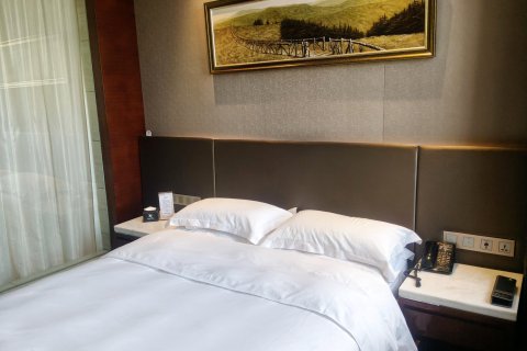 丽呈睿轩酒店(灵石新建东街店)