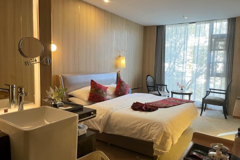 西藏岷山饭店(布达拉宫店)