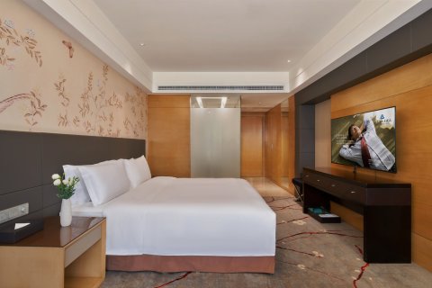 岳阳格兰云天大酒店(岳阳楼步行街店)