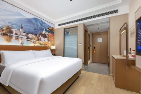 维也纳酒店(百色田林店)