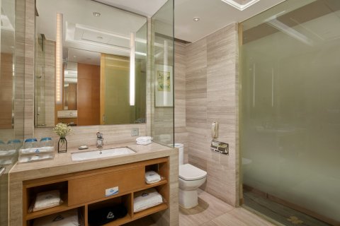 岳阳格兰云天大酒店(岳阳楼步行街店)