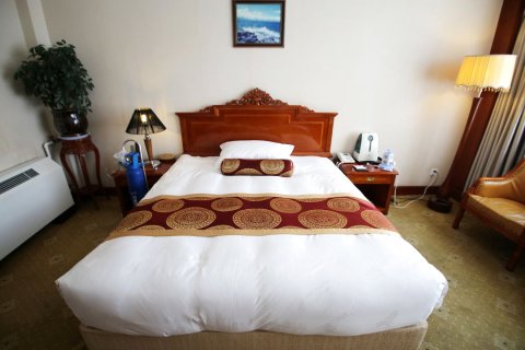 西藏迎宾馆(布达拉宫大昭寺店)