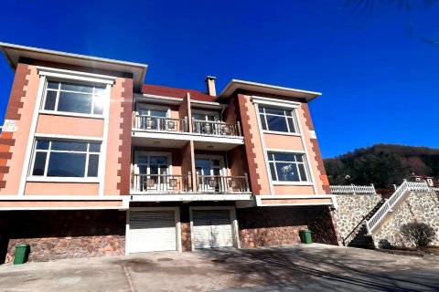 宽甸天桥沟枫叶饭店