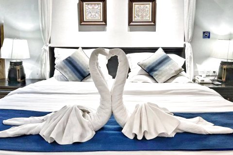 西双版纳景洪市爱纳酒店(告庄星光夜市店)