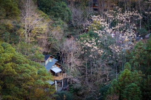 宁海森林温泉度假村