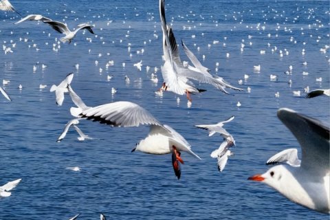 26Life族迹·民族客栈(滇池海埂东码头店)