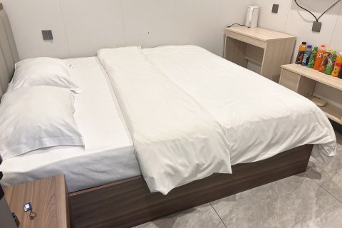 红鑫公寓(安达高铁站店)