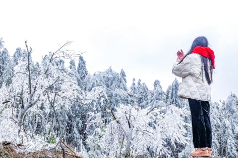 清远金子山森林雪谷壮瑶度假村