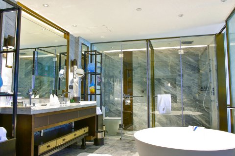 深圳桔钓沙莱华度假酒店