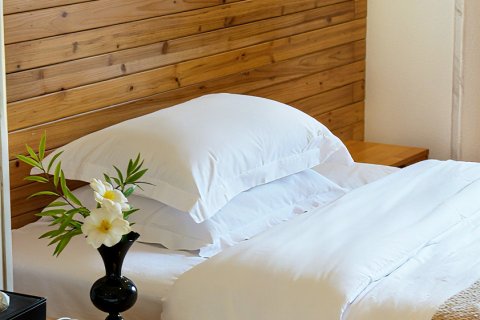 肇兴那时花开民宿